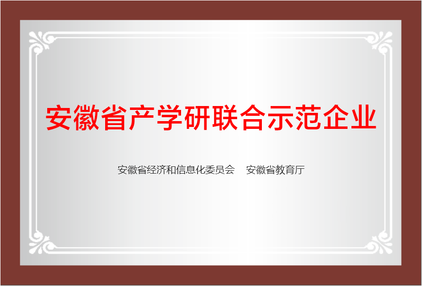 安徽省產學研聯合示范企業